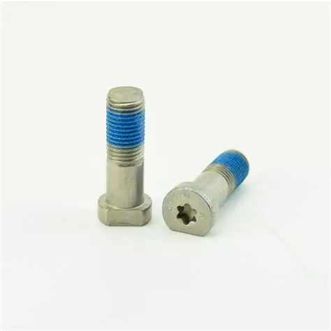 Brake Caliper Bolt